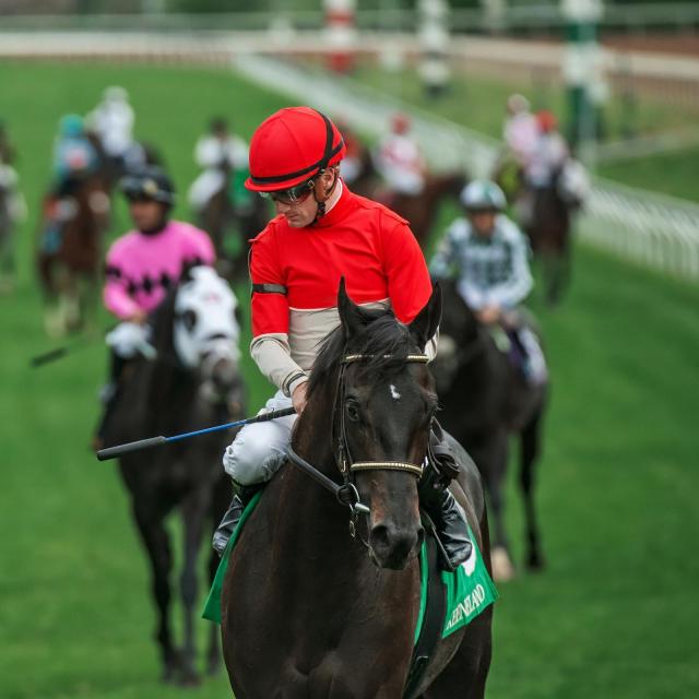 Horse and Jockey