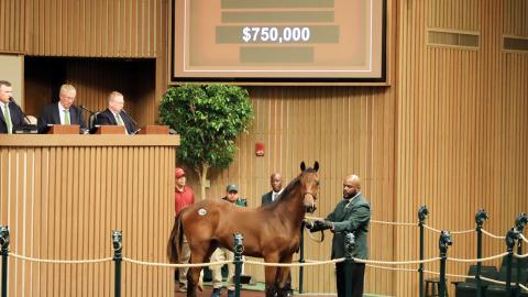 hip 750