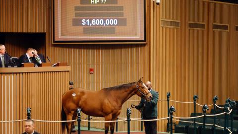 hip 77