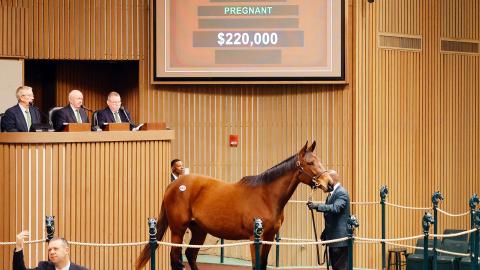 hip 845