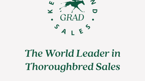 Sales Grads