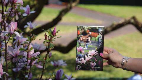 april sale catalog