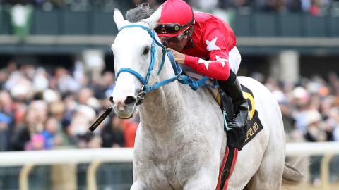Glengarry - Lafayette Stakes - 04-05-24