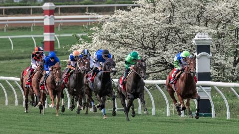 makers mark mile