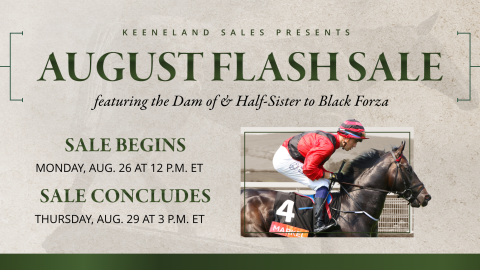 august flash sale
