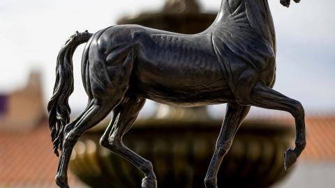breeders cup