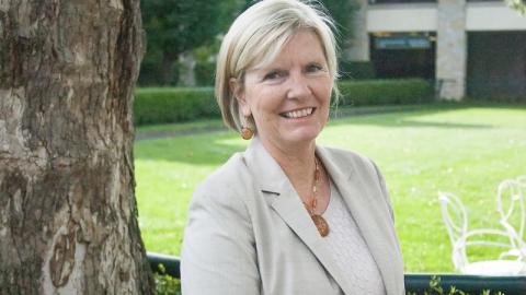amy gregory
