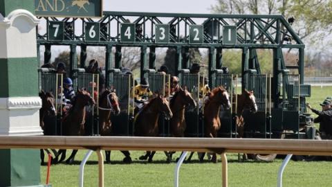 turf race