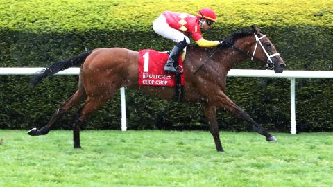 The Bewitch (G3)