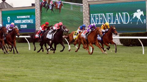 fanduel limestone