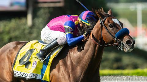 Jockey Juan Hernandez
