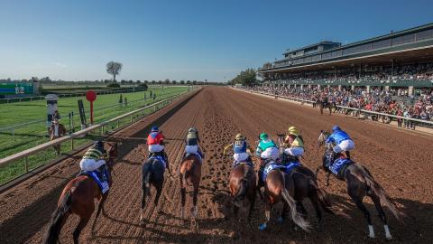 darley