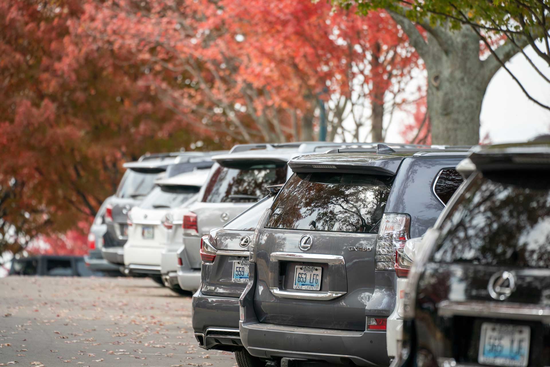 Row of parked cars